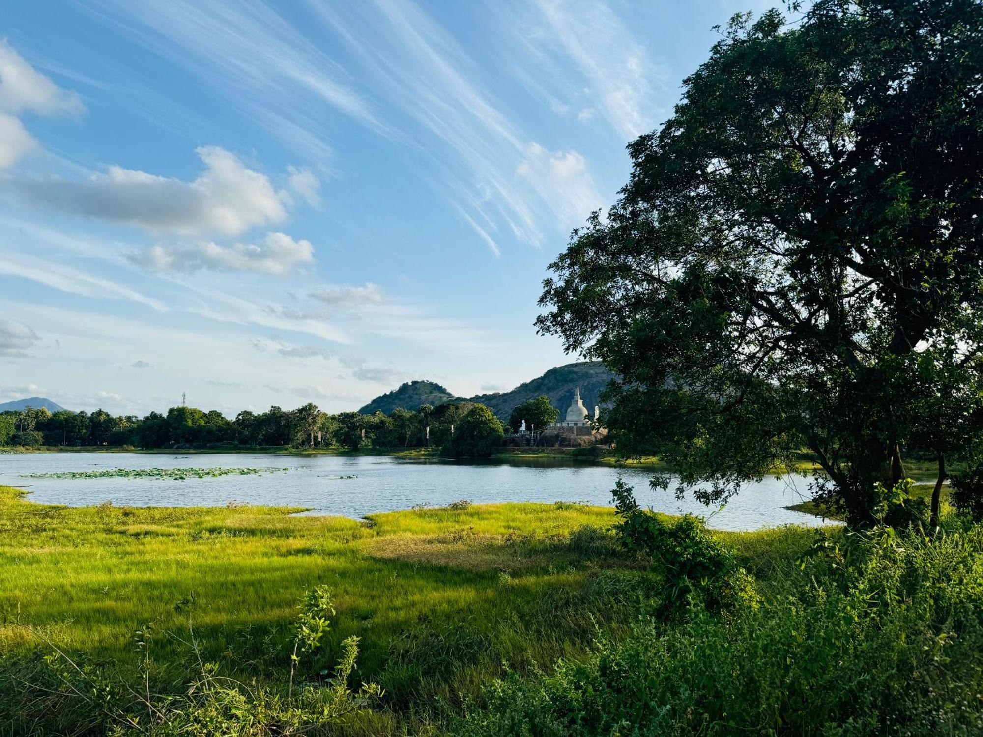 The Green Edge ดัมบูลลา ภายนอก รูปภาพ